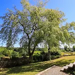 Great Hartbarrow Farm بيت للعطل ويندرمير